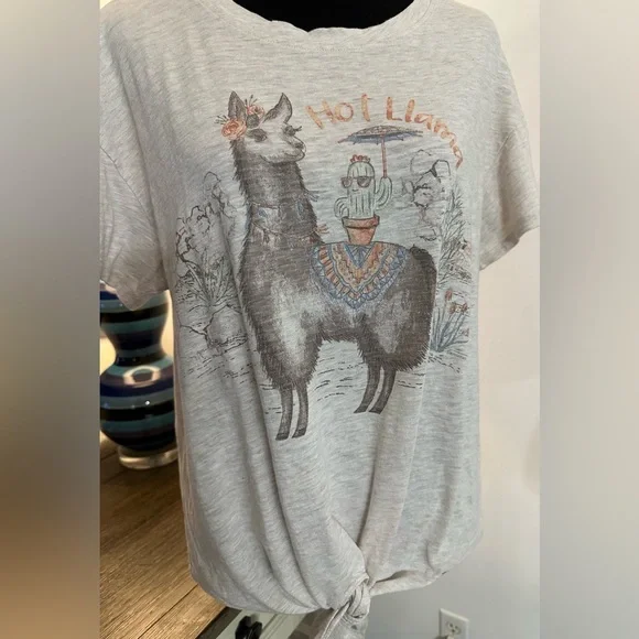 Democracy Beige Hot Llama T-Shirt - Size M - Picture 1 of 13